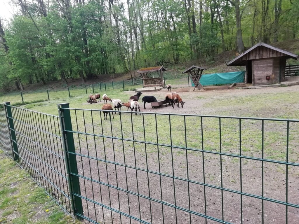 Zoo Frankfurt. 4 1