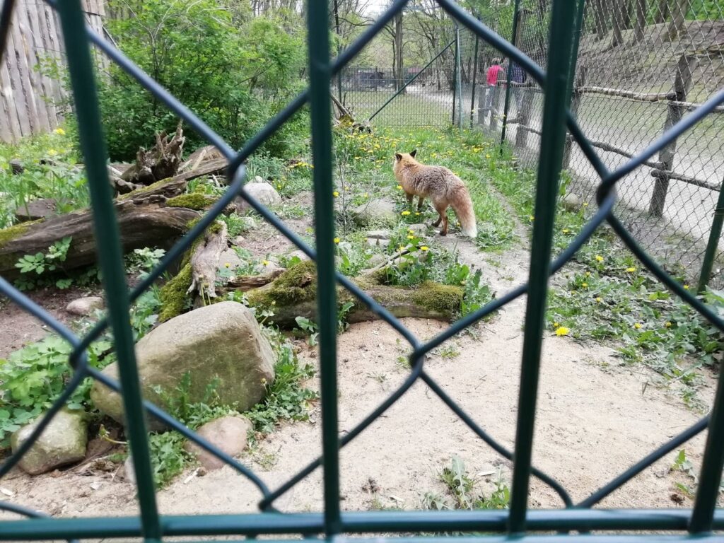 Zoo Frankfurt. 8 1